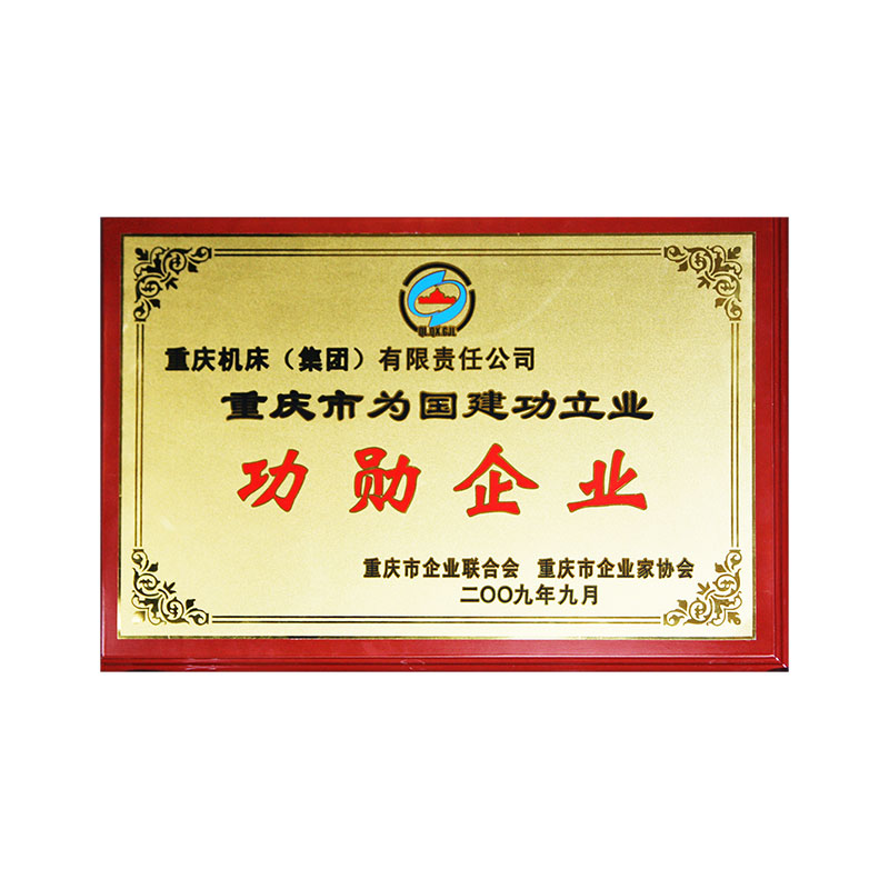 Chongqing meritorious enterprise in 2009